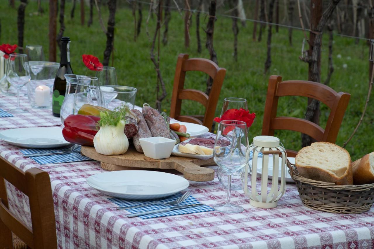 Agriturismo Podere Del Bosc Valmareno 외부 사진