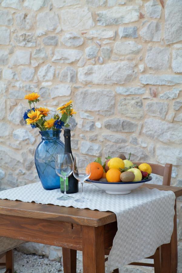 Agriturismo Podere Del Bosc Valmareno 외부 사진